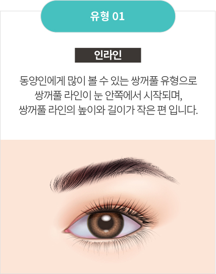 인라인